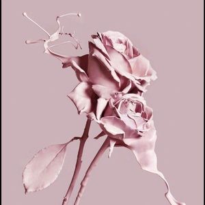 Meet your Posher, Mars